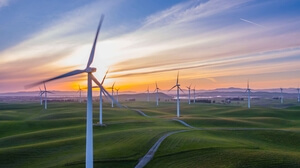 Field with plants and wind turbine