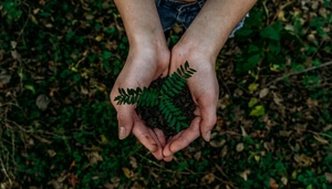 Girl holding out plant in soil